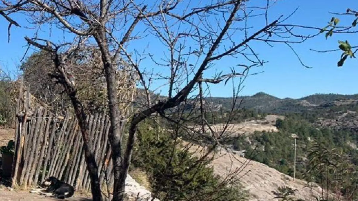 FOTO FZO Un adolescente murió acuchillado en San Rafael de Urique